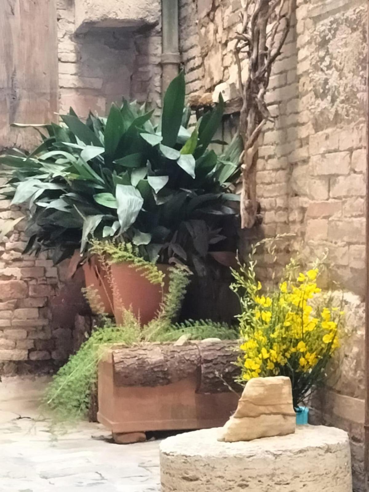 Azzi B&B Comfortably, In The Quietness Of The Perugia Historical Centre Exterior photo